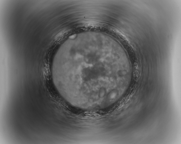 X0000093400918200710260914