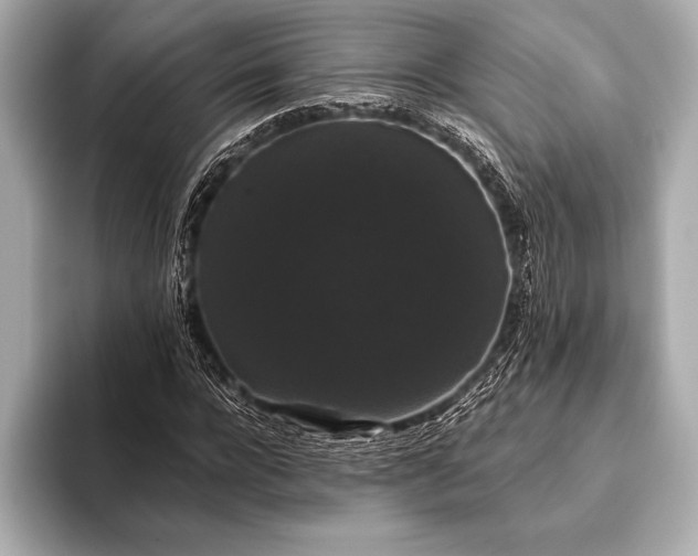 X0000093400920200710260914