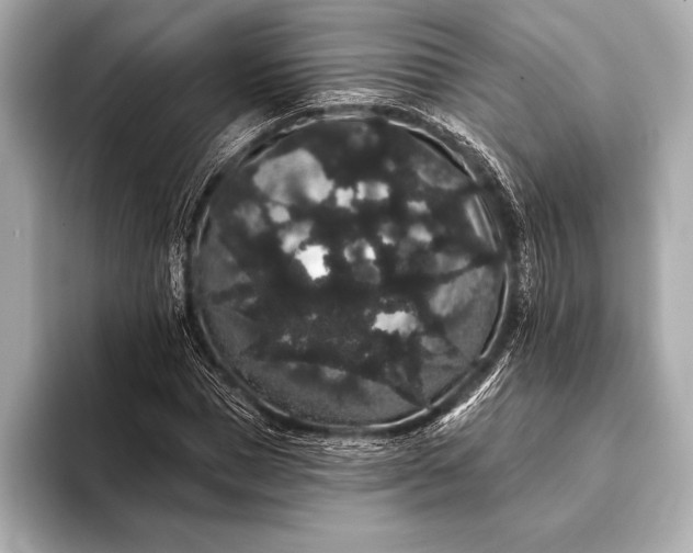 X0000093400921200710260914