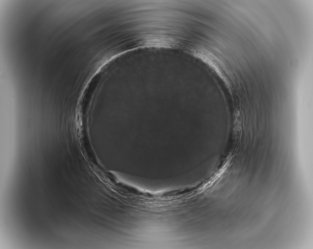 X0000093400923200710260914