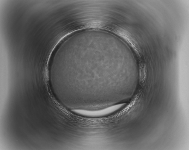 X0000093400924200710260914