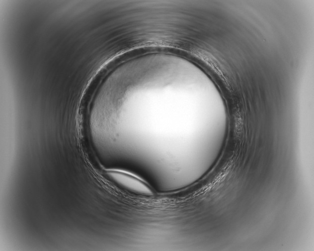 X0000093400926200710260914