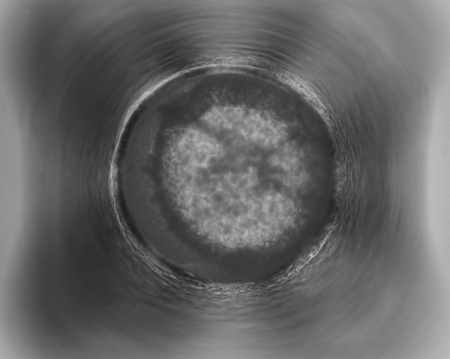 X0000093400928200710260914