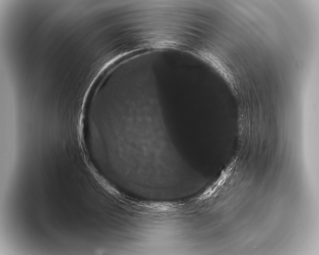 X0000093400932200710260914