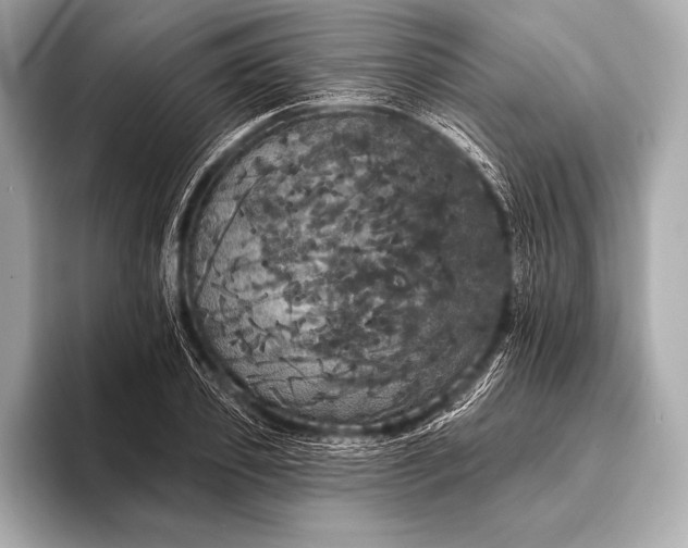 X0000093400933200710260914