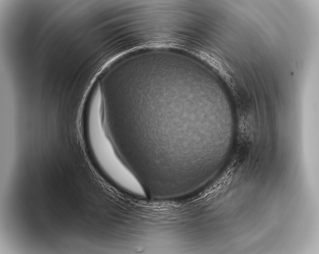 X0000093400934200710260914