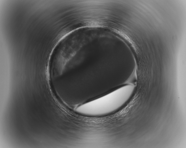 X0000093400935200710260914