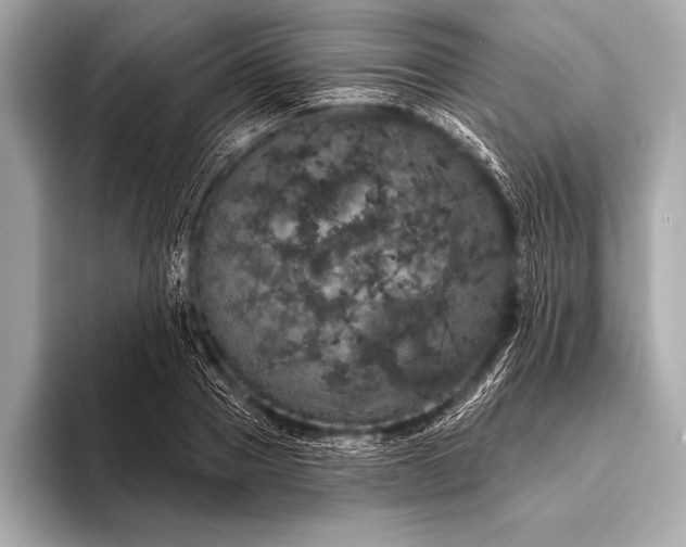 X0000093400937200710260914