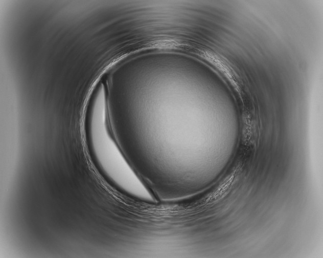 X0000093400939200710260914