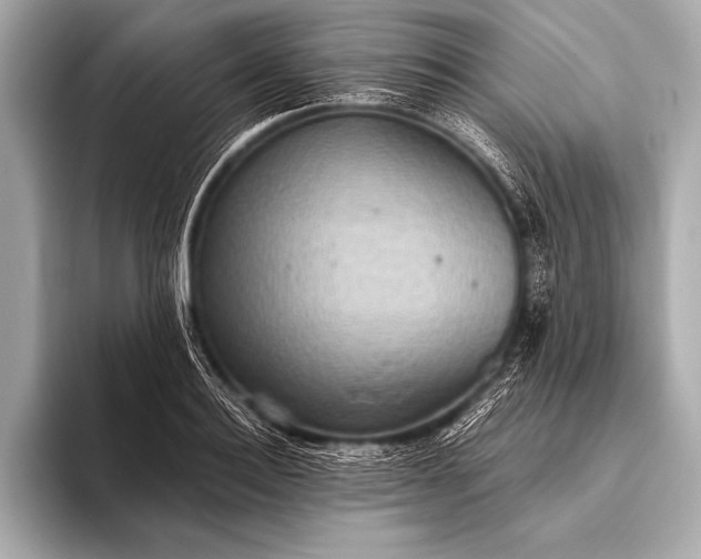 X0000093400940200710260914