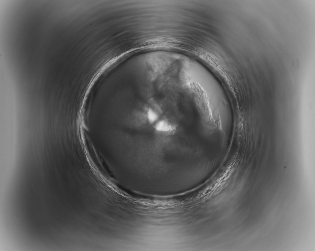 X0000093400941200710260914