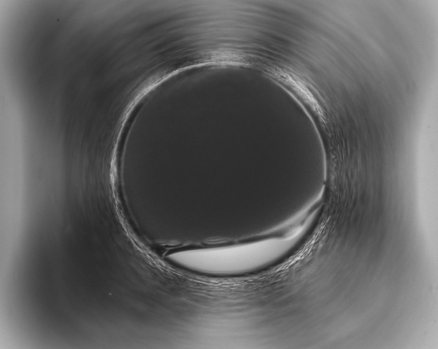 X0000093400944200710260914