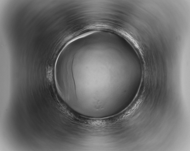 X0000093400945200710260914