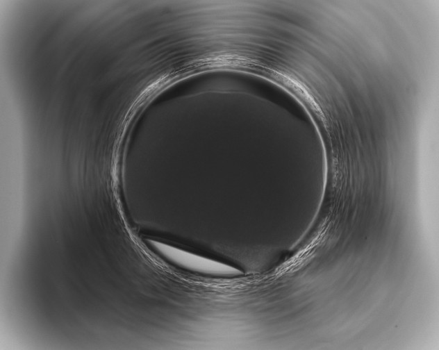 X0000093400946200710260914