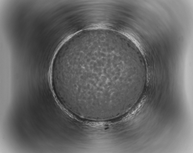 X0000093400949200710260914