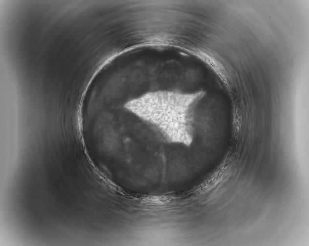 X0000093400950200710260914