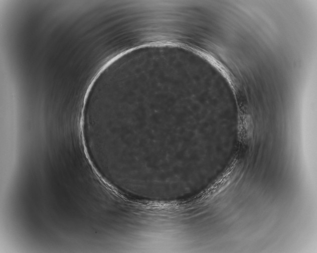 X0000093400951200710260914