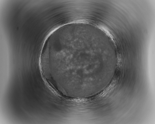 X0000093400952200710260914