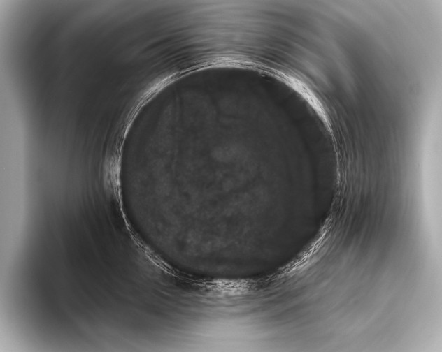 X0000093400954200710260914