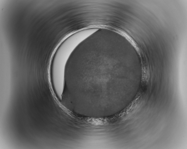 X0000093400955200710260914