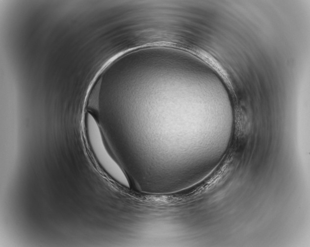 X0000093400956200710260914