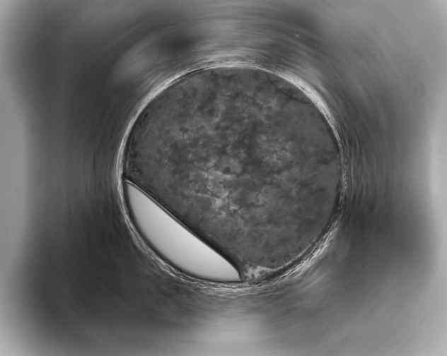 X0000093400957200710260914