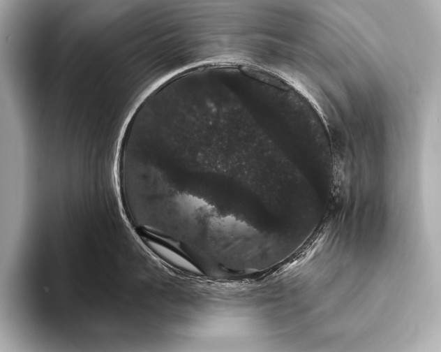 X0000093400959200710260914