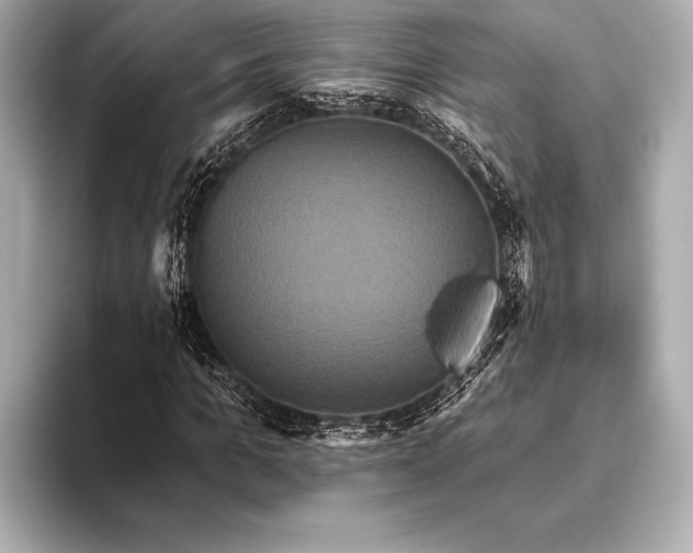 X0000093400965200710260914