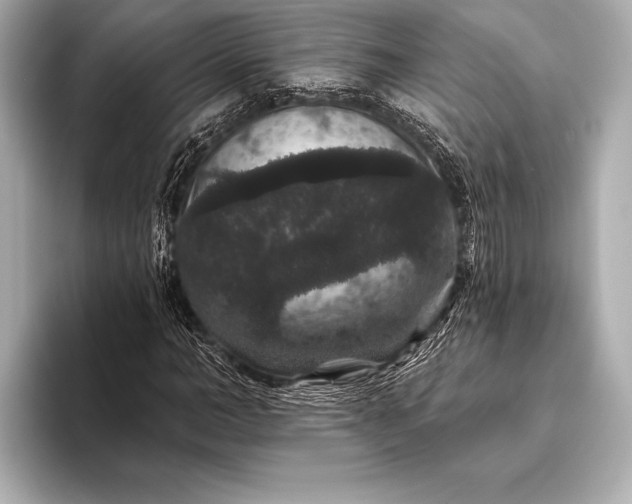 X0000093400966200710260914