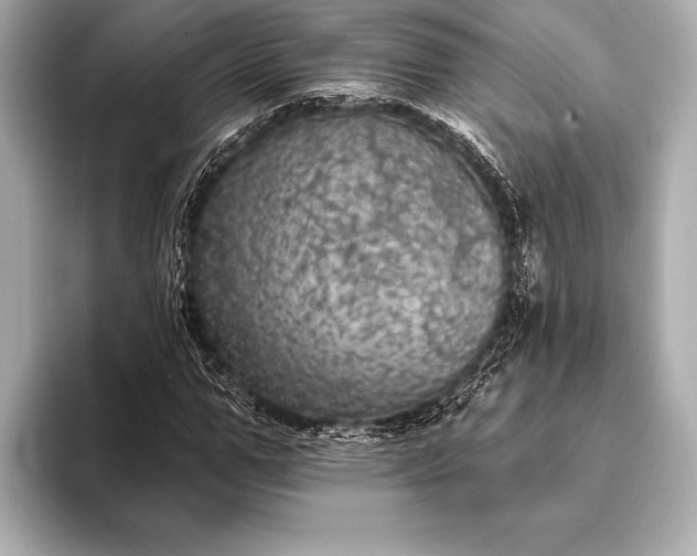 X0000093400967200710260914