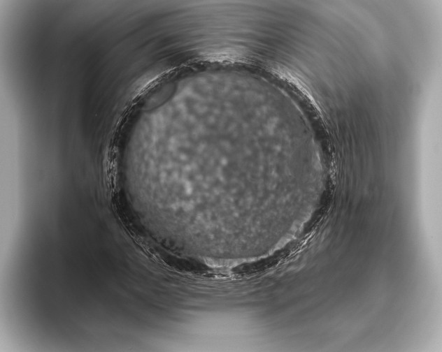 X0000093400968200710260914