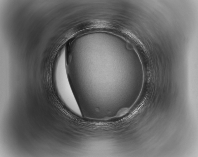 X0000093400969200710260914