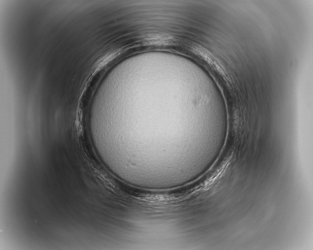 X0000093400970200710260914