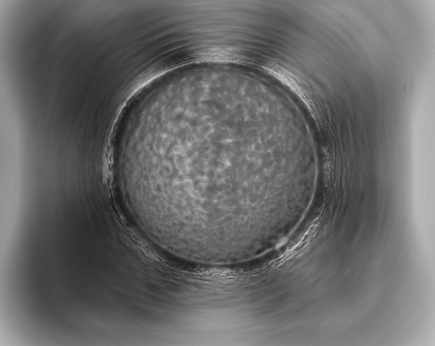 X0000093400971200710260914