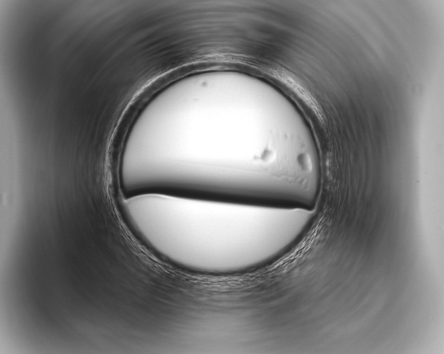 X0000093400972200710260914