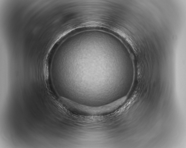 X0000093400973200710260914