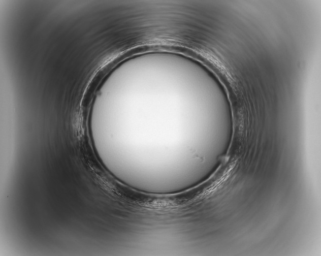 X0000093400974200710260914