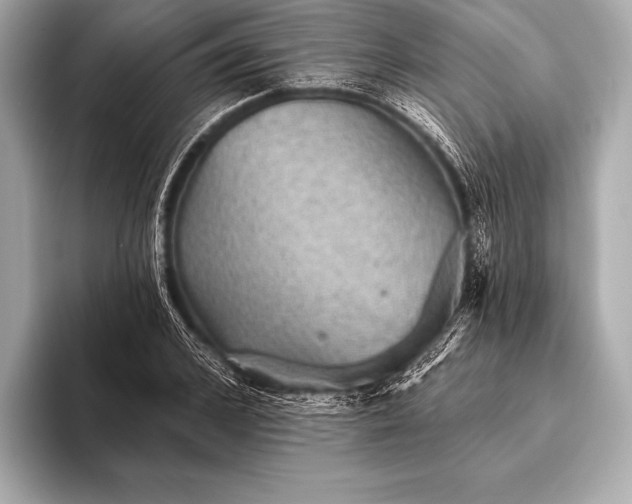 X0000093400976200710260914