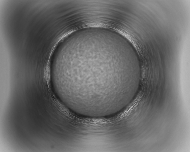 X0000093400979200710260914