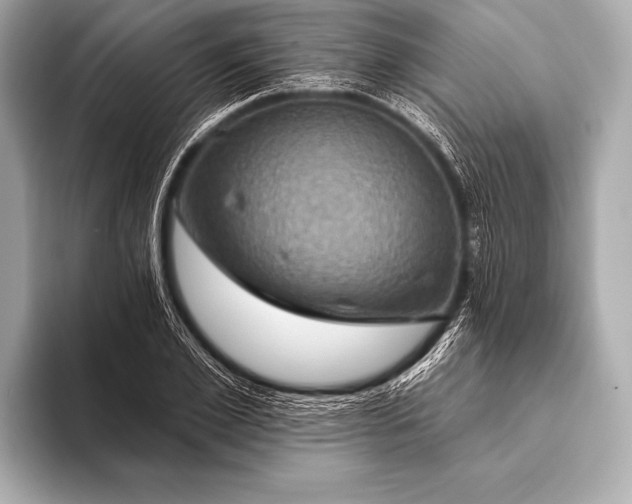 X0000093400981200710260914