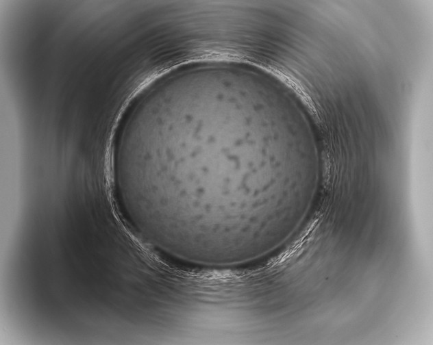 X0000093400982200710260913