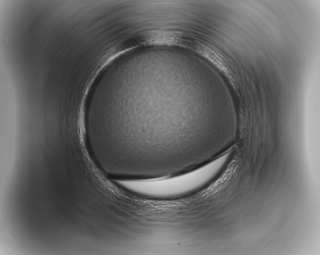 X0000093400984200710260913