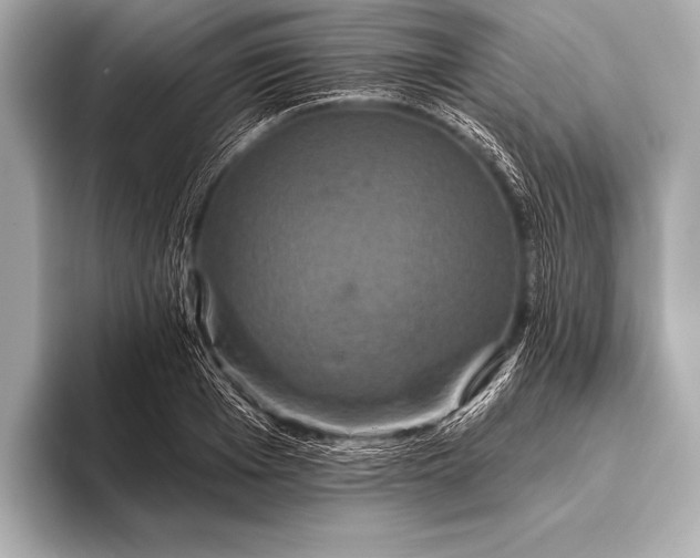 X0000093400985200710260913