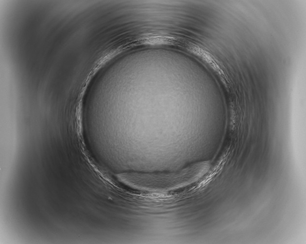 X0000093400986200710260913