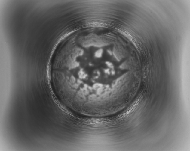 X0000093400987200710260913