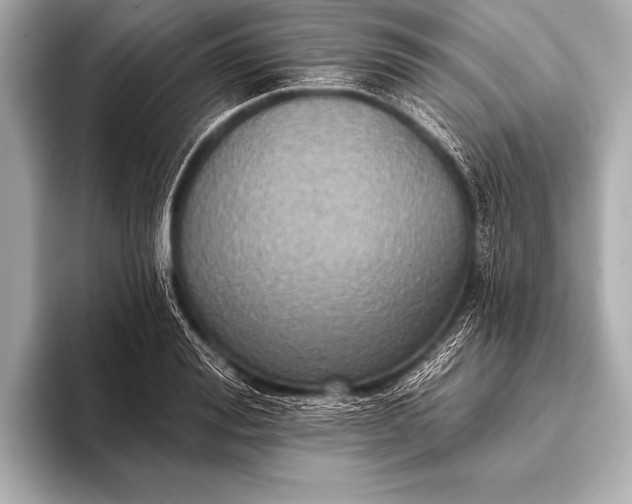 X0000093400988200710260913