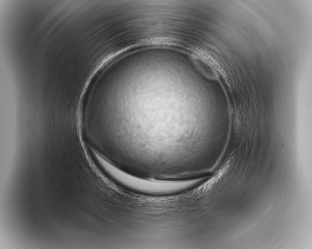 X0000093400989200710260913