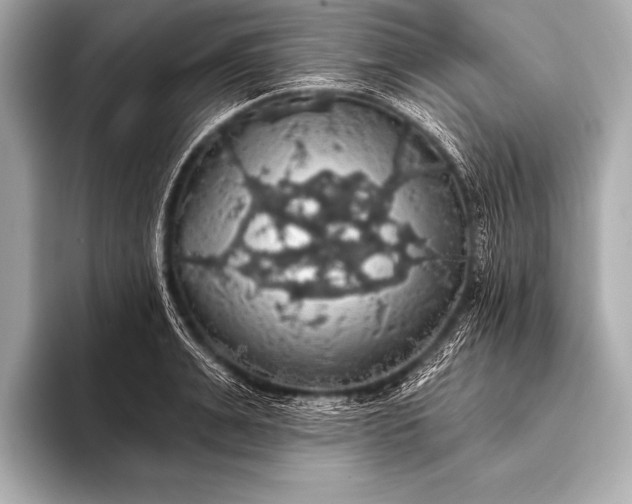 X0000093400991200710260913