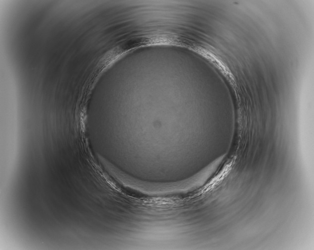 X0000093400993200710260913