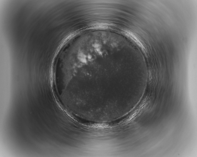 X0000093400994200710260913